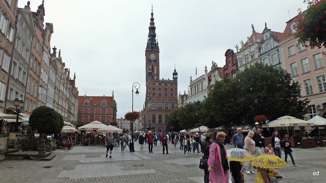 Z Gdańska Picasa #309509