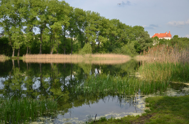 KasiaKoziorowska #328333