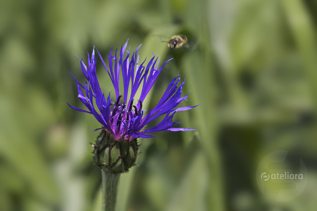 MarekCzubaszek #186212