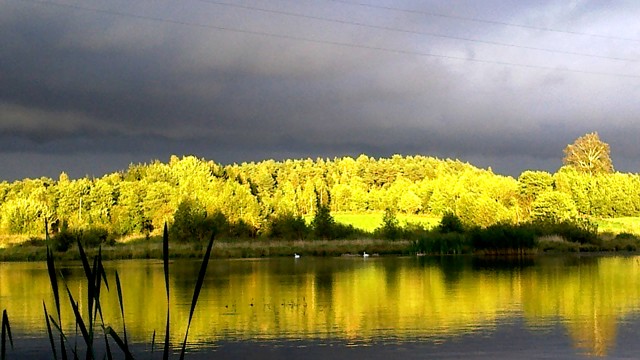 Krystian Pl 