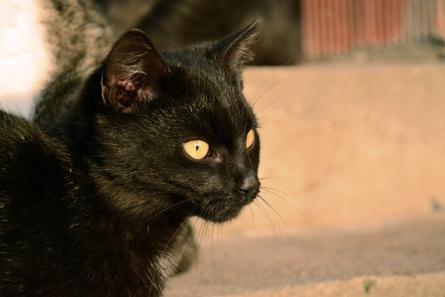 Agata Jaworska #138395