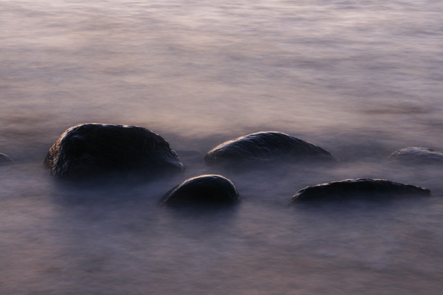 Tomasz Pisulla #237435