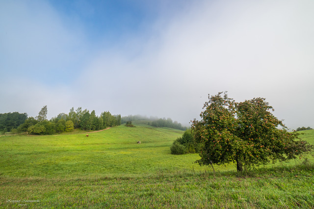 Suwalszczyzna K.Mierzejewski #319365