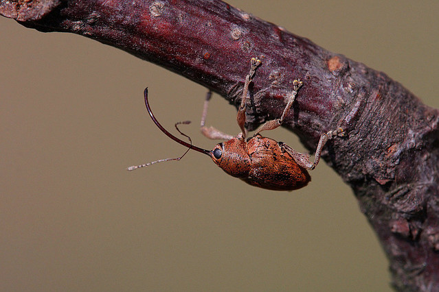 Piotr Trachta #208891