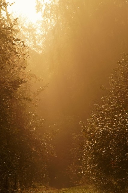 Jarek Jarecki #299208