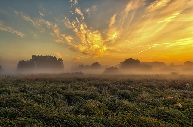 Jesienny świt Krzysztof Tollas #303427