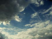 Picasa 