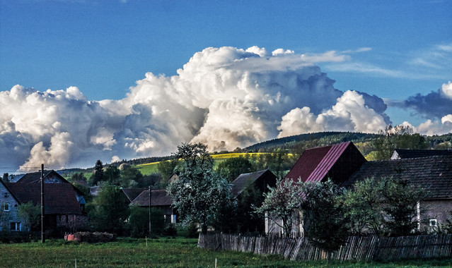 Zbigniew Czech #269862