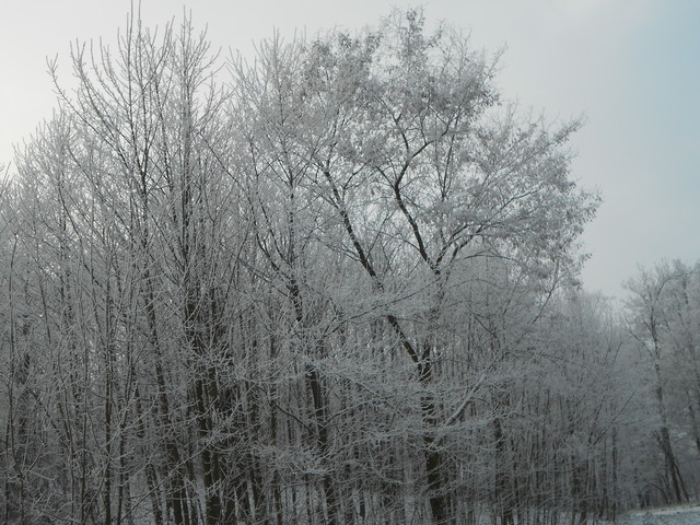 Artur Oziewicz #182805