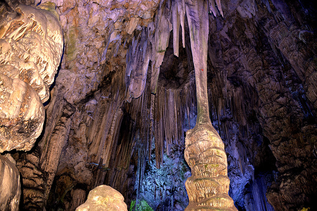 Jaskinia Św. Michała - Gibraltar Dariusz Wojtala #309096