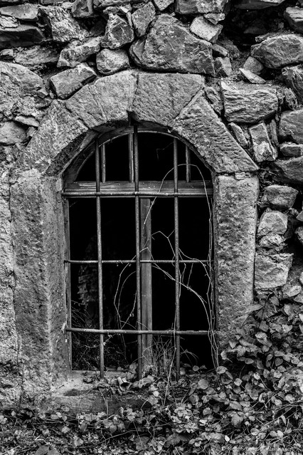 Bramy i okna Pałac w Rząsinach Piotr Schmidt #266002