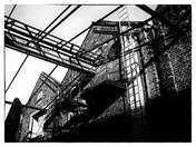 Piotr A. B. OLYMPUS DIGITAL CAMERA