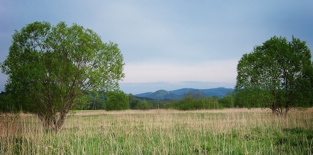 Rafał Urbanik  