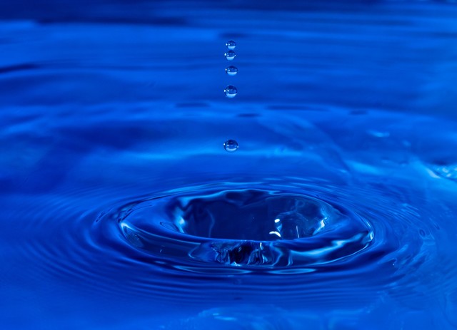 Plum Marcin STIEBAL #207240