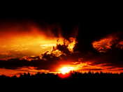 Picasa 