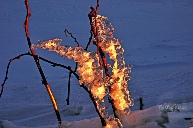 Zbigniew Kapusta #303153