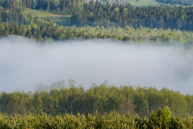 Suwalszczyzna pstrykacz #326888