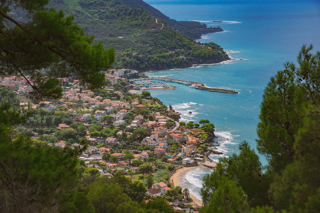 Radoslaw Kwast #299077