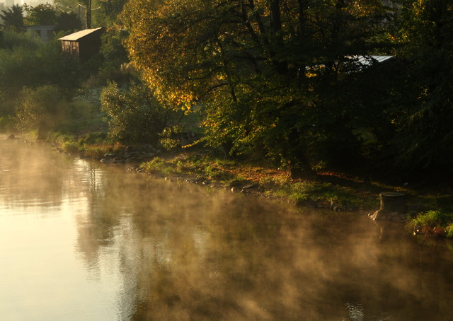 cichamaryjka #114162