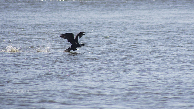 Na Wiśle LESZEK.D #202672