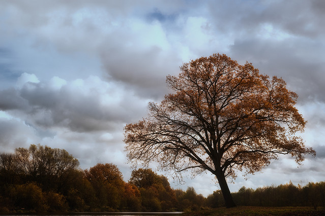 ... PRZEMEK KIJOWSKI -AUTOR #176754