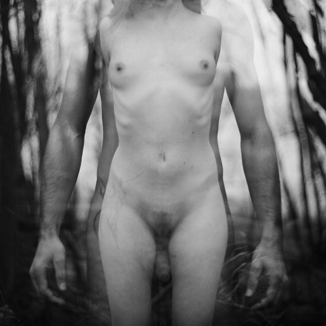 Michał Buddabar #235851