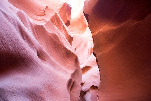 Jacek Pióro #319077