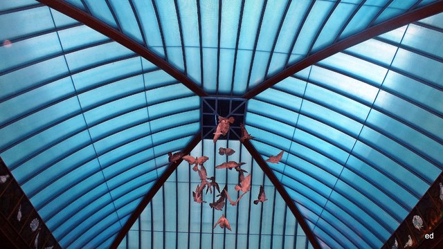 Sufit Picasa #309436