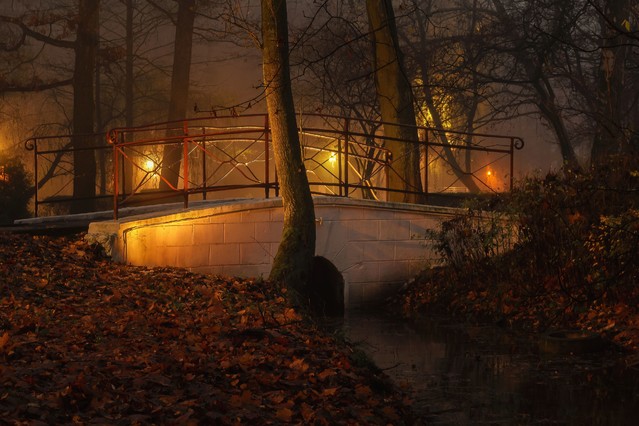 Park,Jesień,Mgła,Świt Krzysztof Tollas #305711