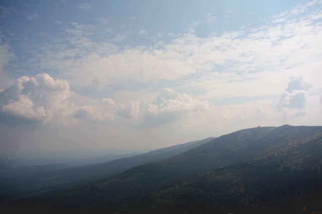 Marta Lipowska #227645