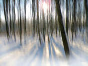 Talambur OLYMPUS DIGITAL CAMERA