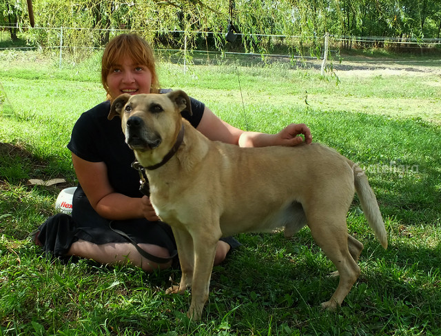 Zdzisław Zalewski #225355