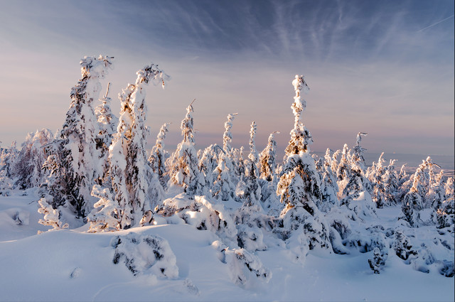 zbynek Góry Izerskie Stóg Izerski - Świeradów Zdrój