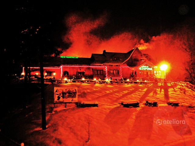 Janina Godlewska-Gorczyca #203693