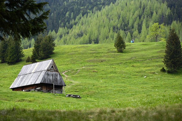 MariuszFotografia #315297