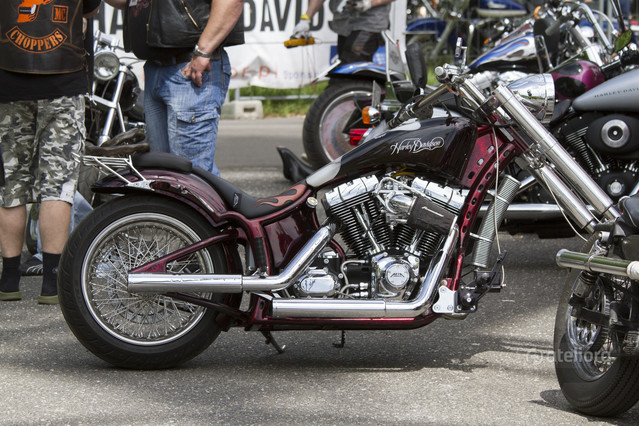 Maciej Frolow #210684