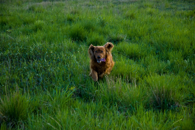 siekierapol8 #156845