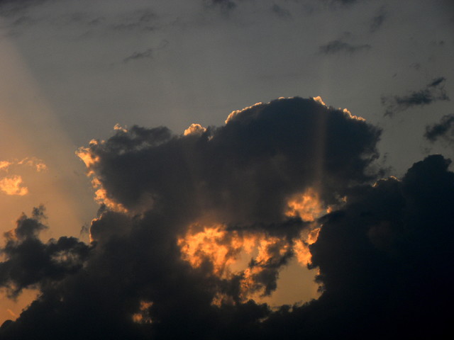 SAMSUNG DIGITAL CAMERA Picasa #166280