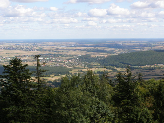 OLYMPUS DIGITAL CAMERA Barbara Smuga #165466