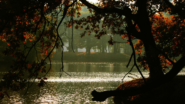 Permanently SONY DSC