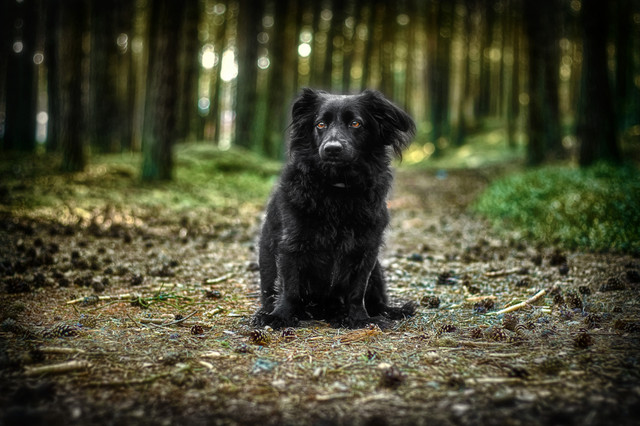 Tomasz Naglik #308287