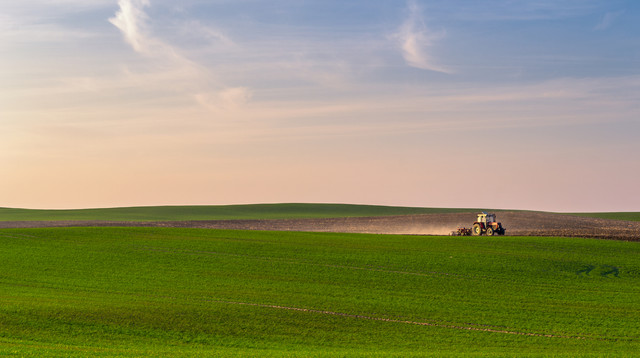 Rolnictwo Krzysztof Tollas #305647