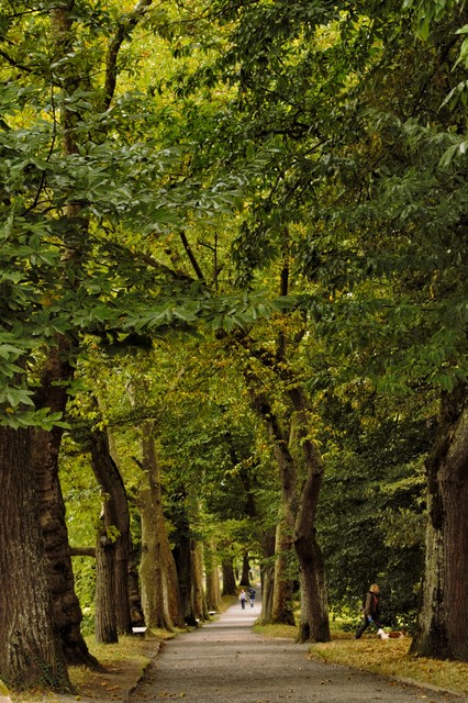 Jarek Jarecki #299237