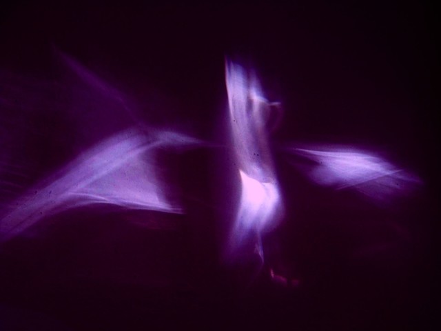 Marek Kniedziałowski #168763