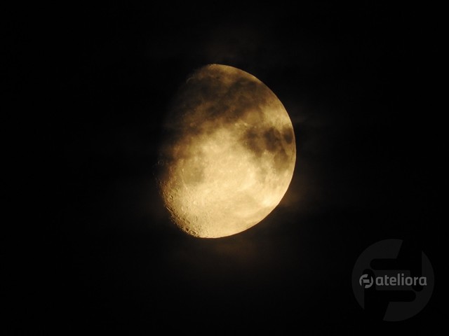 Agnieszka Ilska #279759