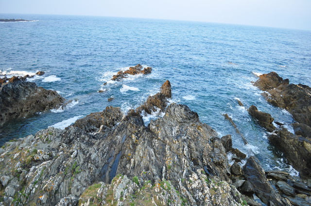 chapel point view, portmellon bartii #106796