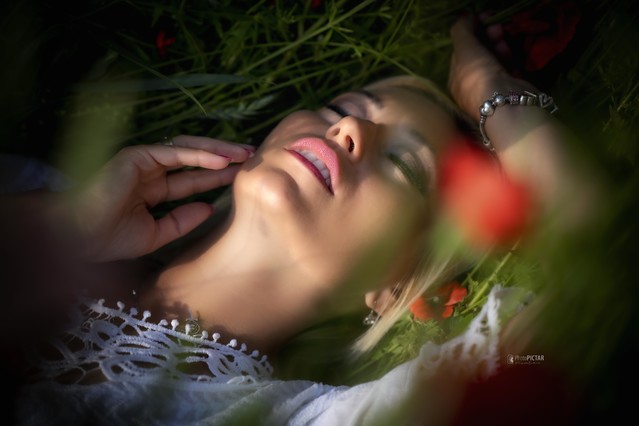 PhotPictar #331852