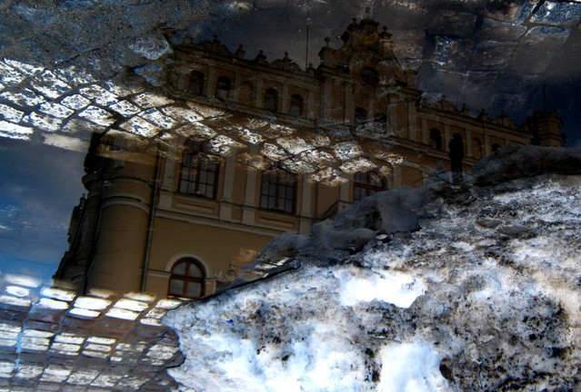 Picasa 