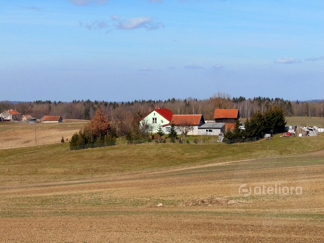 Warmia gizela #305384