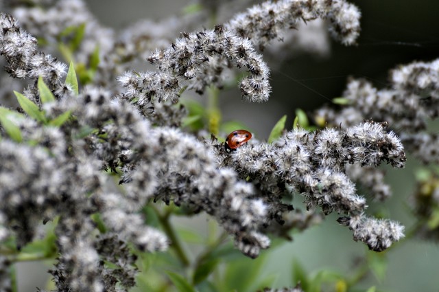 MariuszFotografia #319836